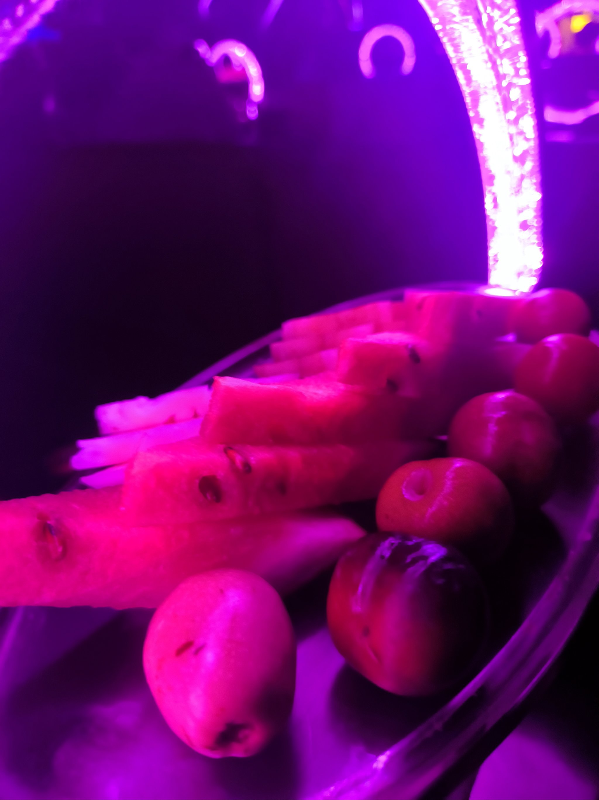 宜宾商务ktv全新商务ktv新玩法揭秘-屏山县ktv预定